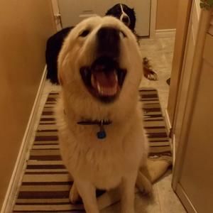 Meet your Posher, Mary